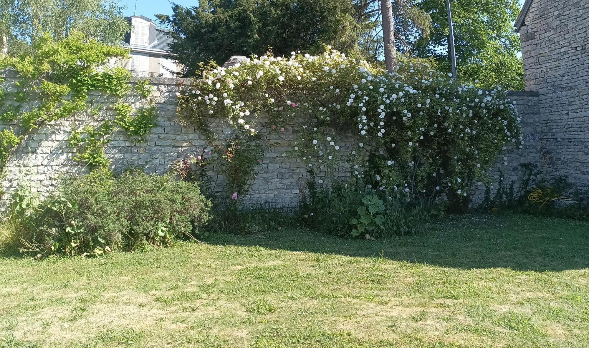 Chez Zaza Bed & Breakfast Stigny Exterior foto